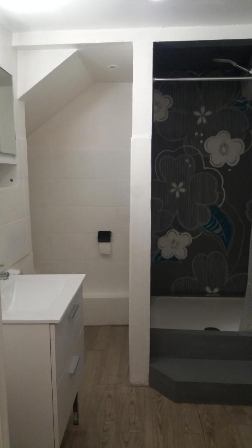 Appartement Meuble Type T2 Metz Eksteriør billede